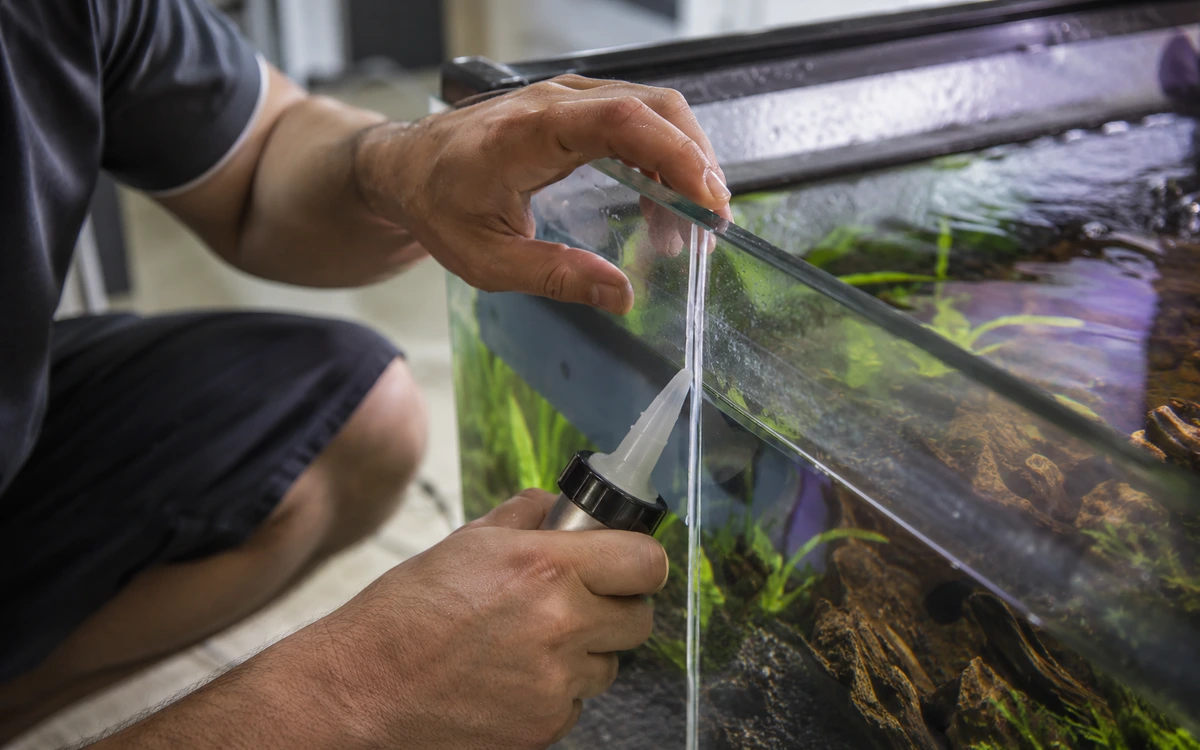 Fish tank repair contractor